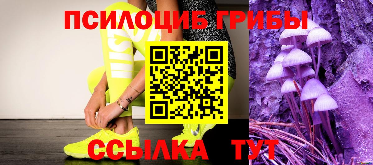 Котельники  Псилоцибиновые грибы Cubensis  Вход с VPN 