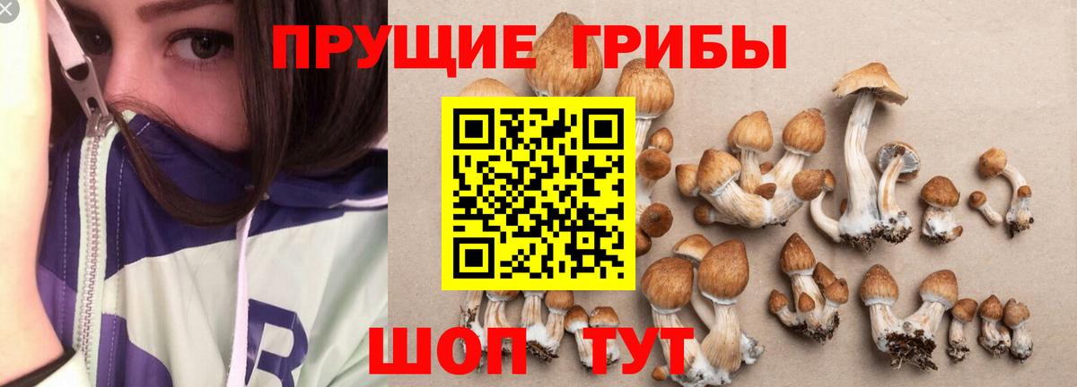 АМФЕТАМИН Котельники