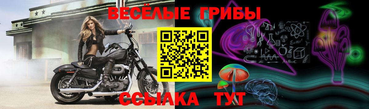 Псилоцибиновые грибы GOLDEN TEACHER Котельники